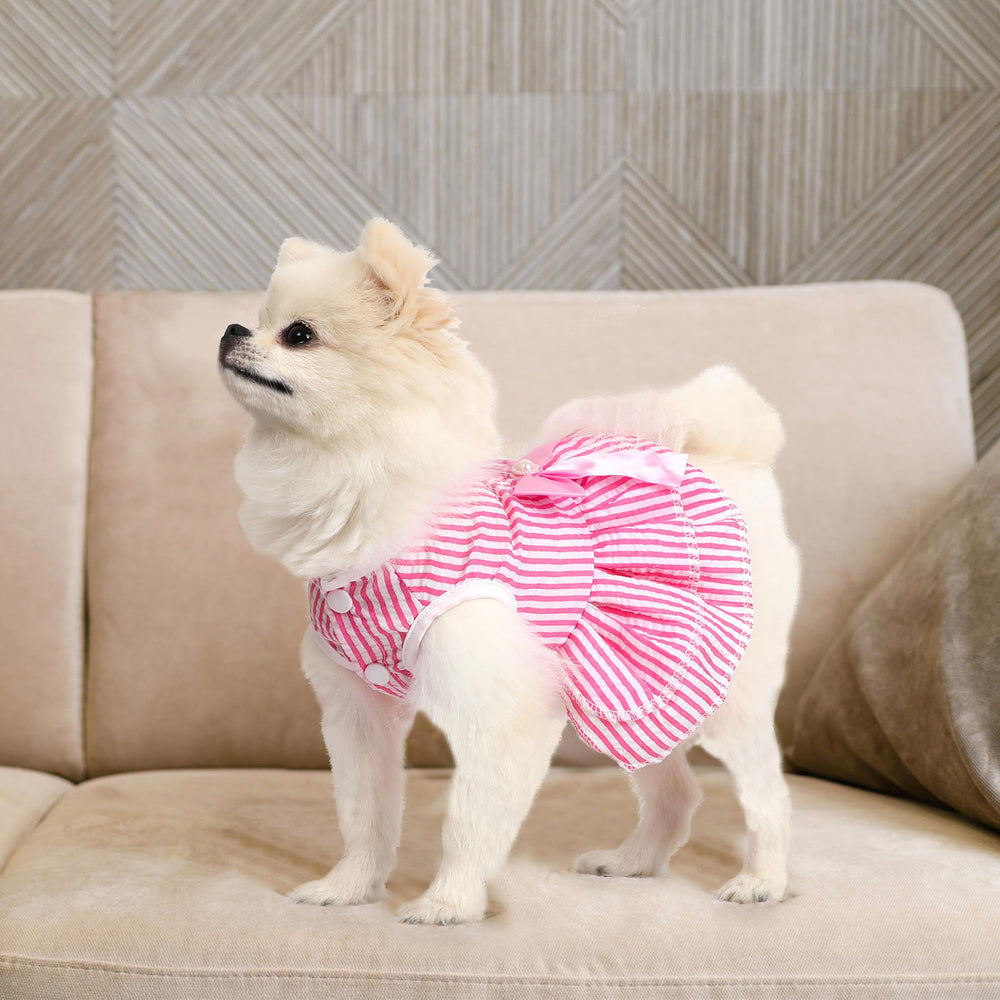 Generic vestido con lazo rosa para perro pequeño, perfecto para sesiones de fotos.