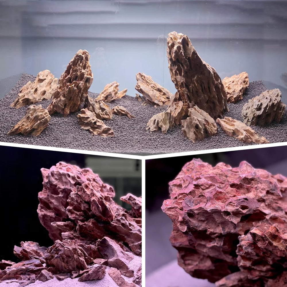 Piedra Dragón de Generic prelavada, lista para usar tras enjuague rápido