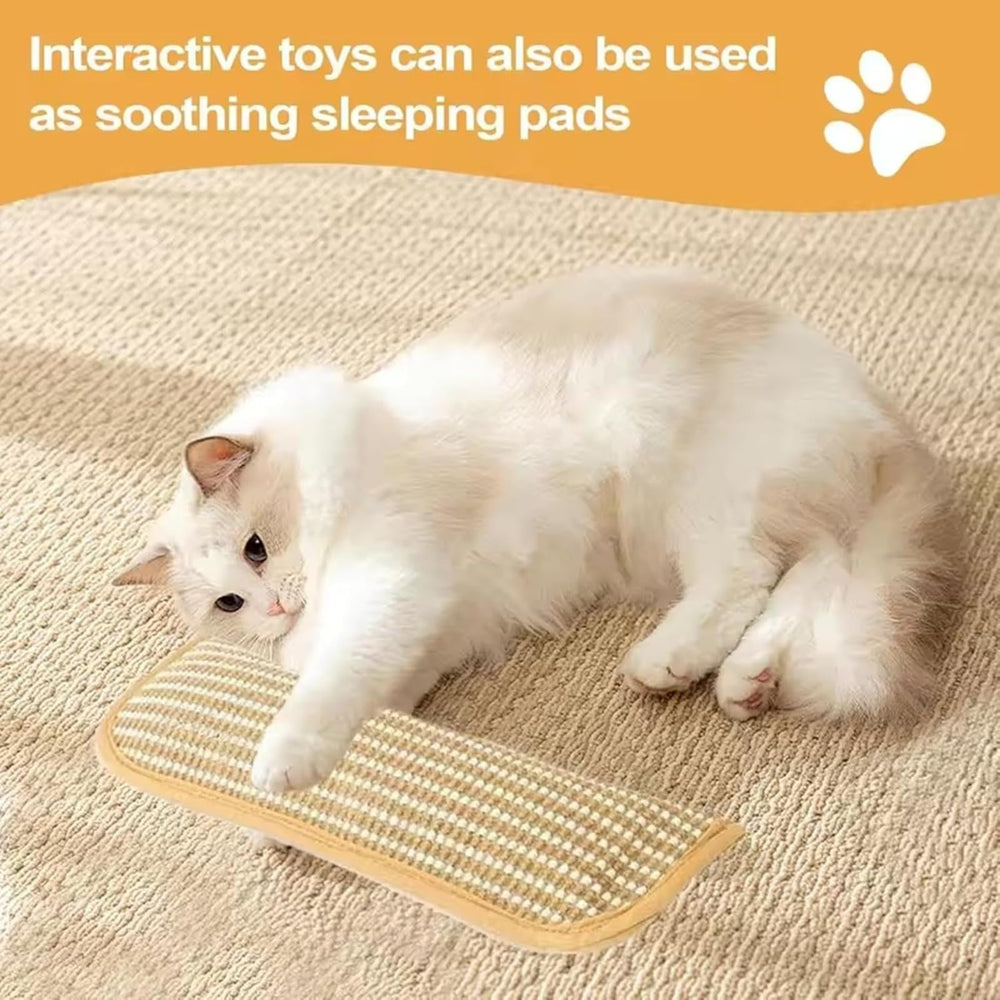 Juego interactivo con catnip de Generic para actividad diaria en casa.