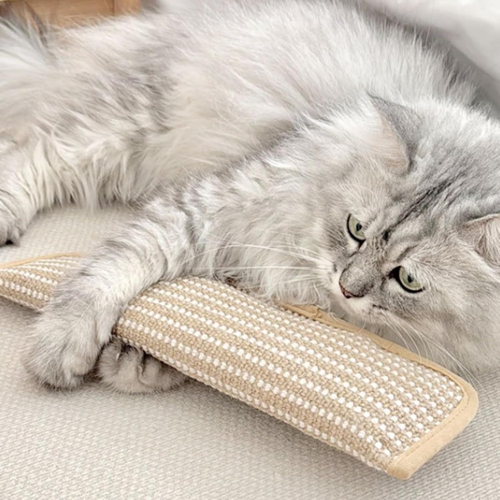Juguete catnip dental masticable de Generic para limpieza dental suave.