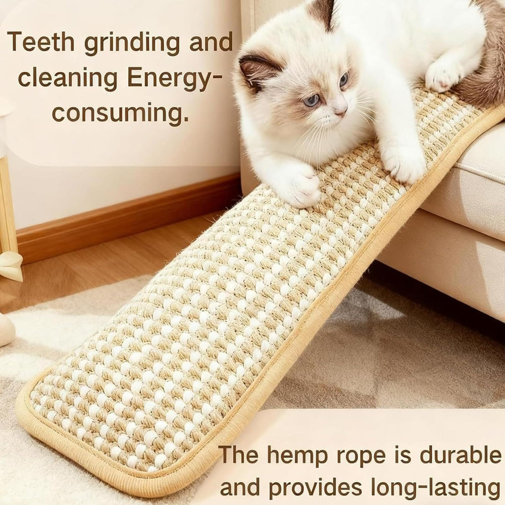 Juguete catnip masticable de tamaño grande para gatos activos y gatitos.