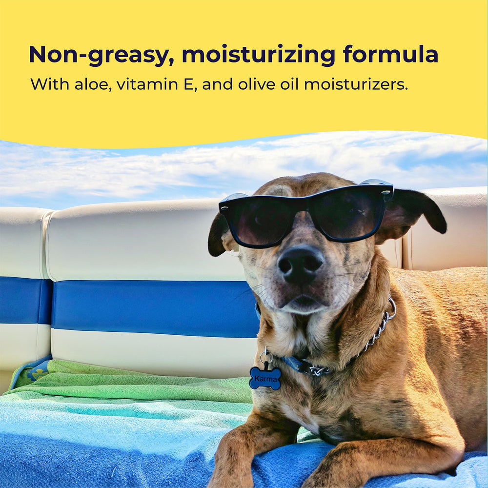 Ingredientes de Gentle Creatures Sunscreen con aceite de oliva y vitamina E para hidratación.