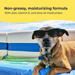 Ingredientes de Gentle Creatures Sunscreen con aceite de oliva y vitamina E para hidratación.