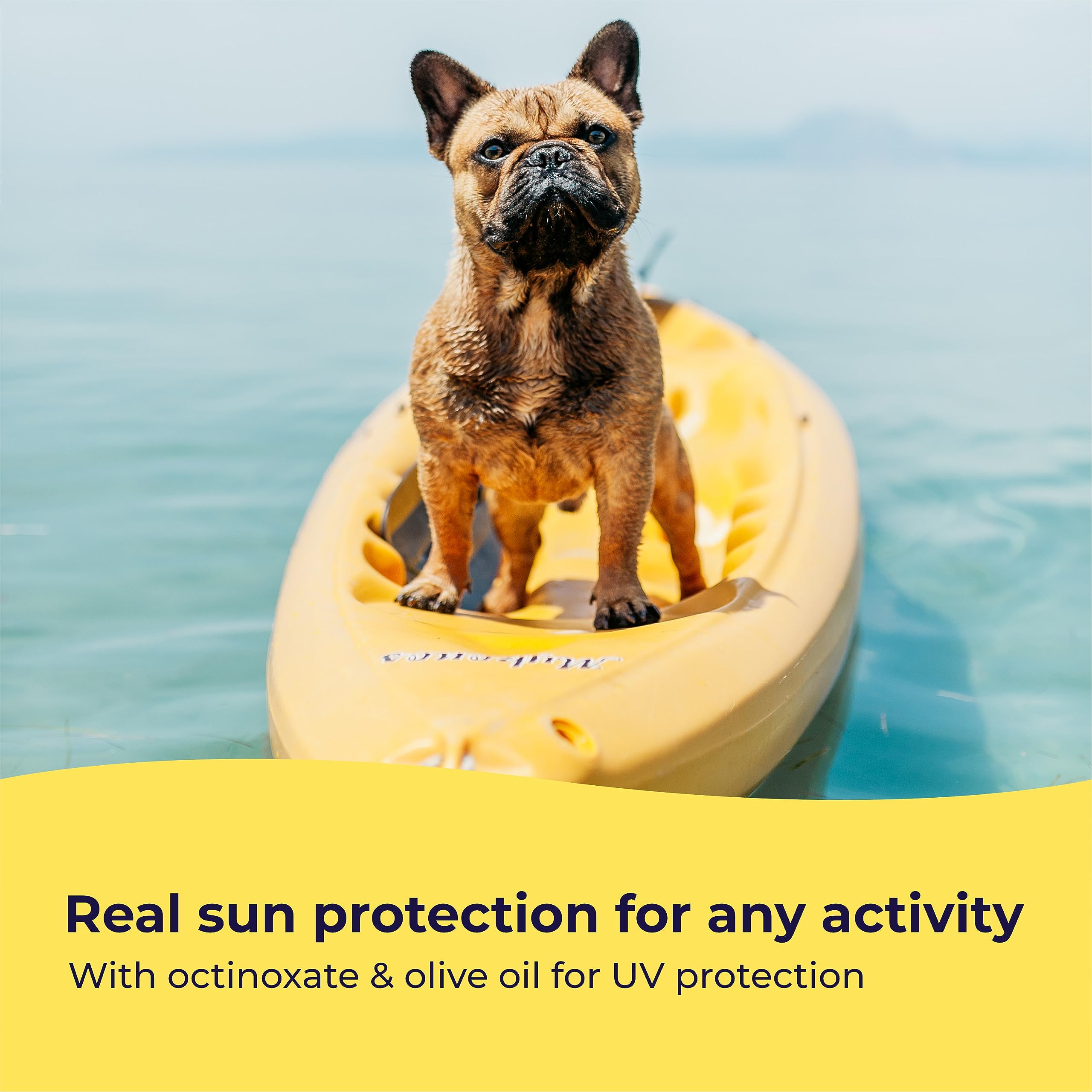 Uso en la playa con Gentle Creatures Sunscreen para protección de perro.