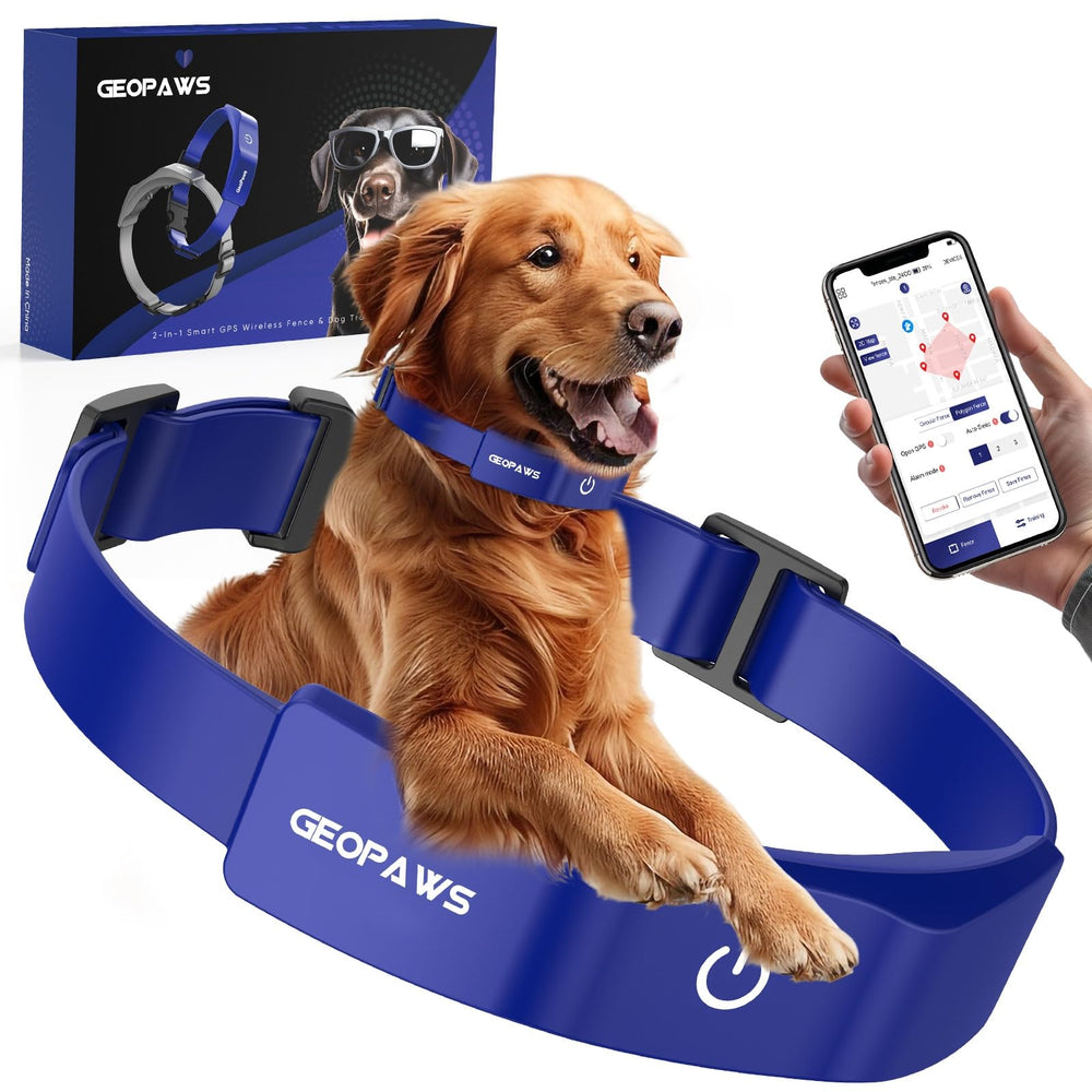 GeoPaws collar GPS, primer plano mostrando seguridad para perros al aire libre.