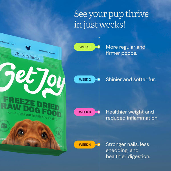 Get Joy alta proteína, ayuda a músculos y energía diaria.