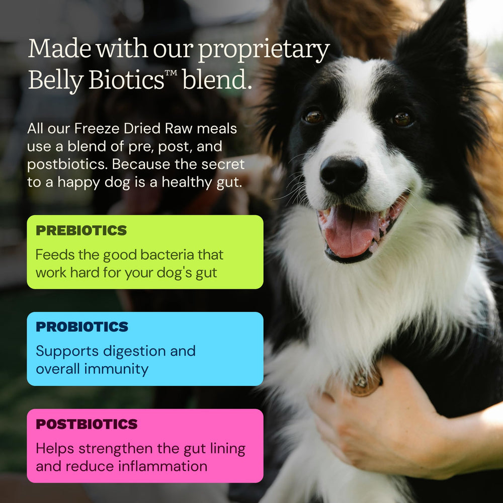 Get Joy recomendado por veterinarios, seguridad y calidad