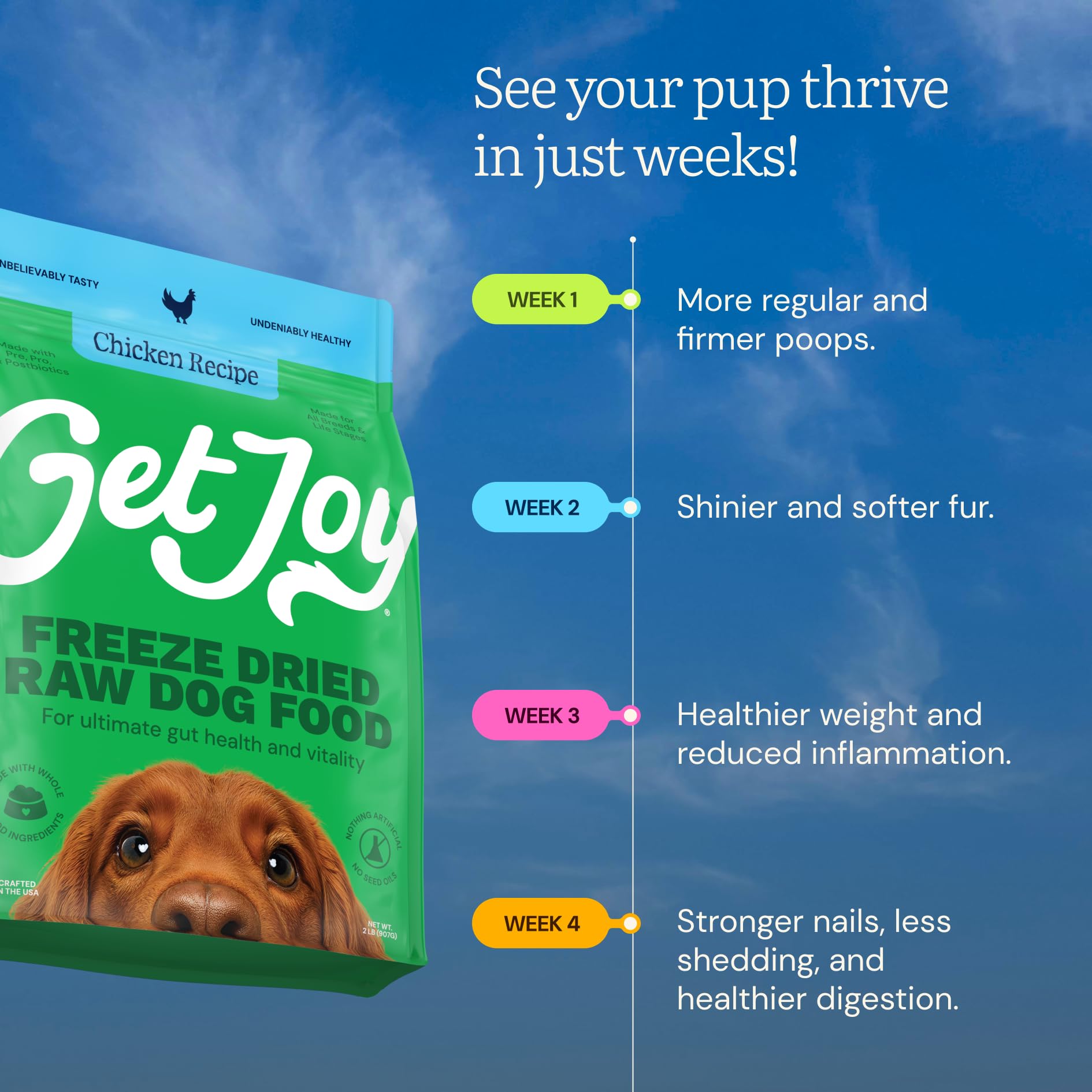 Get Joy alta retención de nutrientes, mejora la absorción