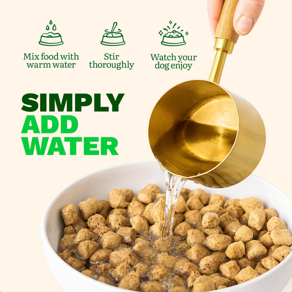 Get Joy topper para comida de perro, mejora el plato