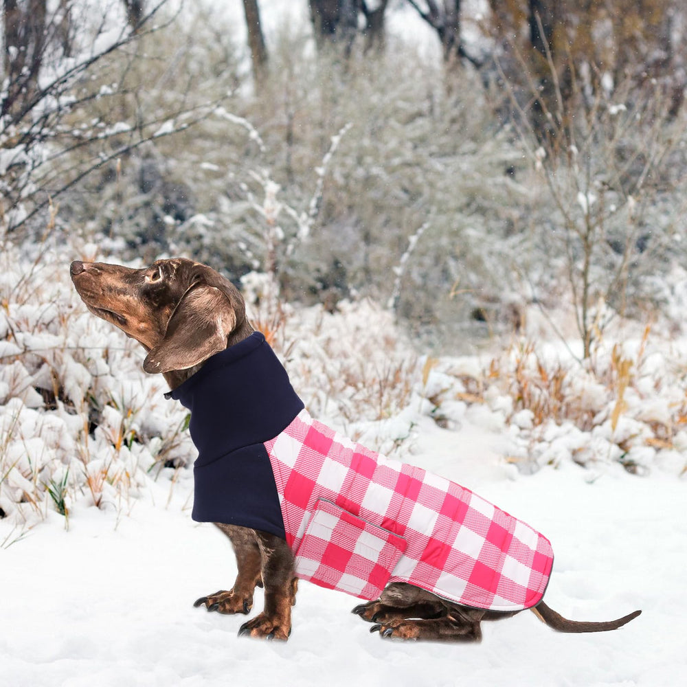 Geyecete abrigo dachshund guía de tallas, mide cuello y espalda