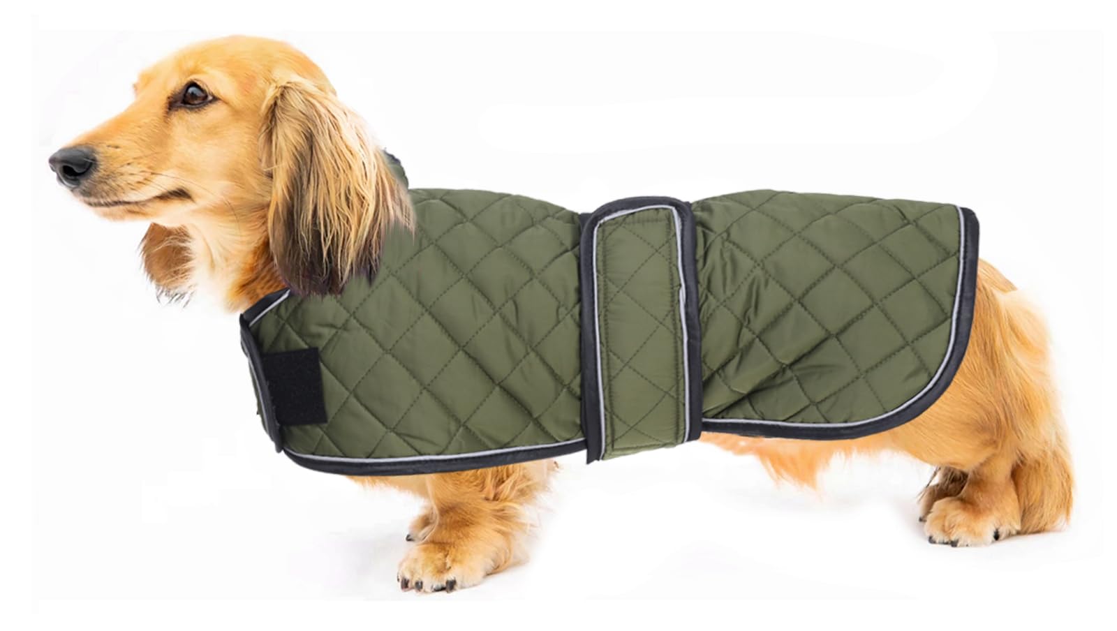 Geyecete abrigo dachshund termico impermeable para paseos fríos