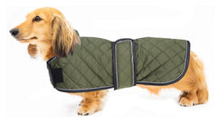 Geyecete abrigo dachshund termico impermeable para paseos fríos