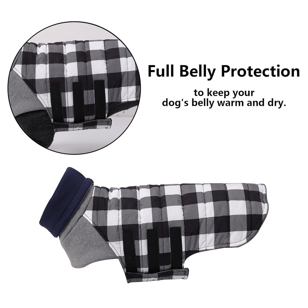 Geyecete correas ajustables para mejor ajuste en perro salchicha.
