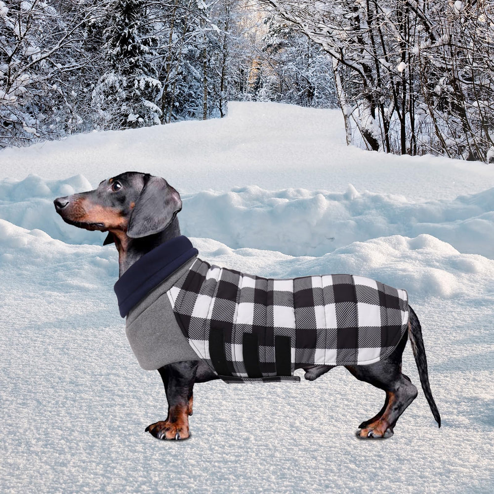 Geyecete diseño elegante impermeable que complementa el look del perro.
