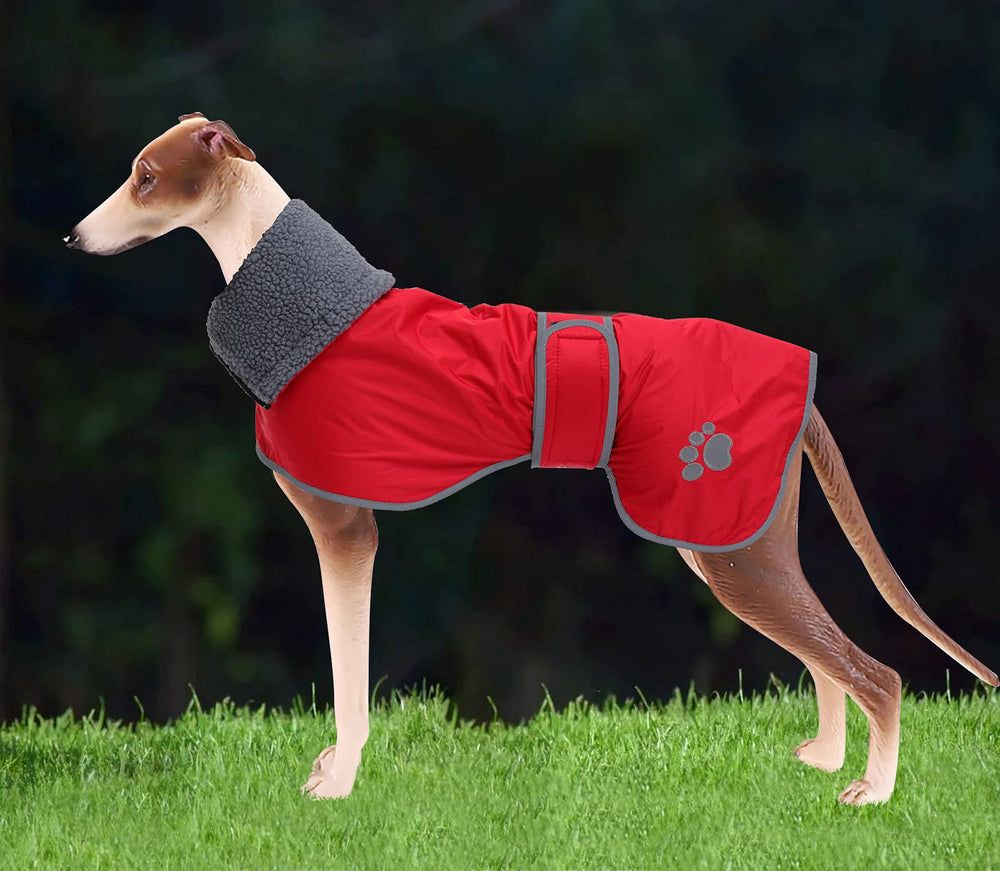 Geyecete capa para galgo lavable a máquina, limpieza simple.