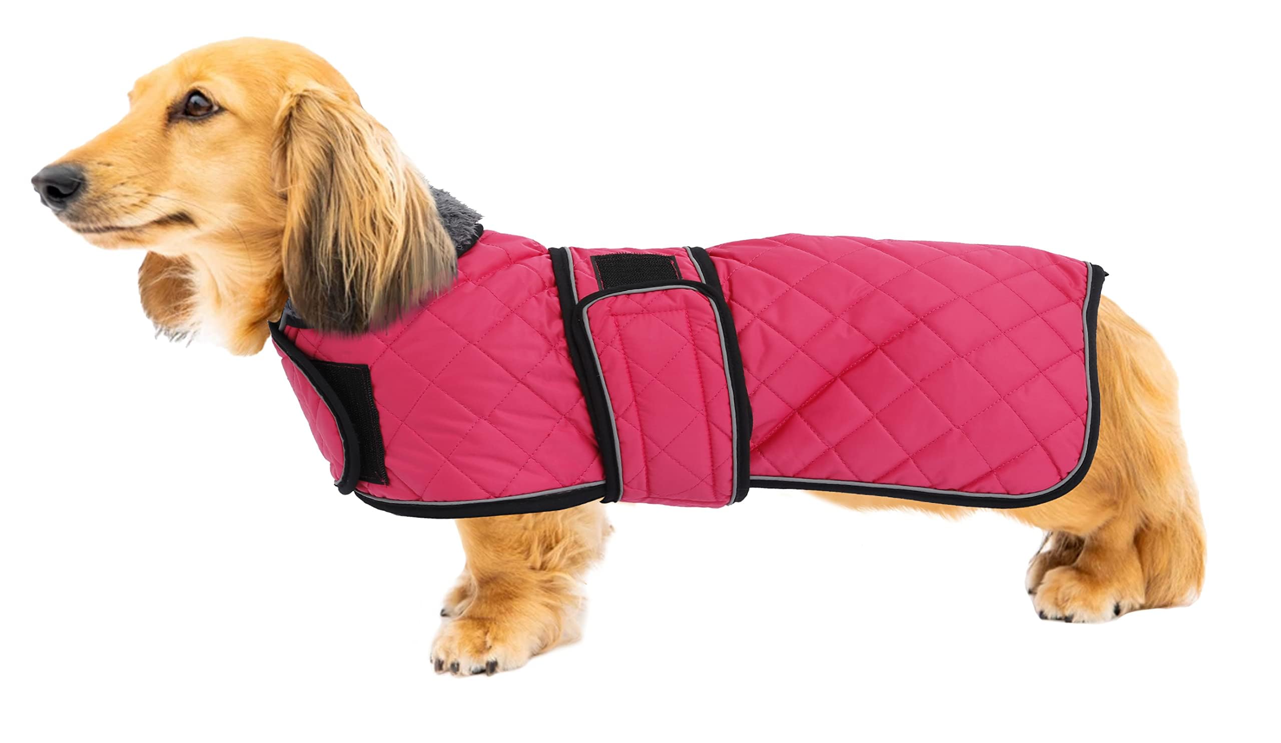 Capa Geyecete para perro salchicha vista frontal, protección contra frío y viento.