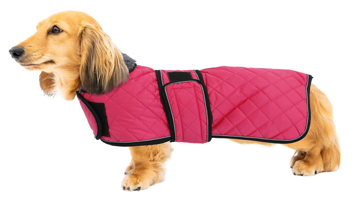 Capa Geyecete para perro salchicha vista frontal, protección contra frío y viento.