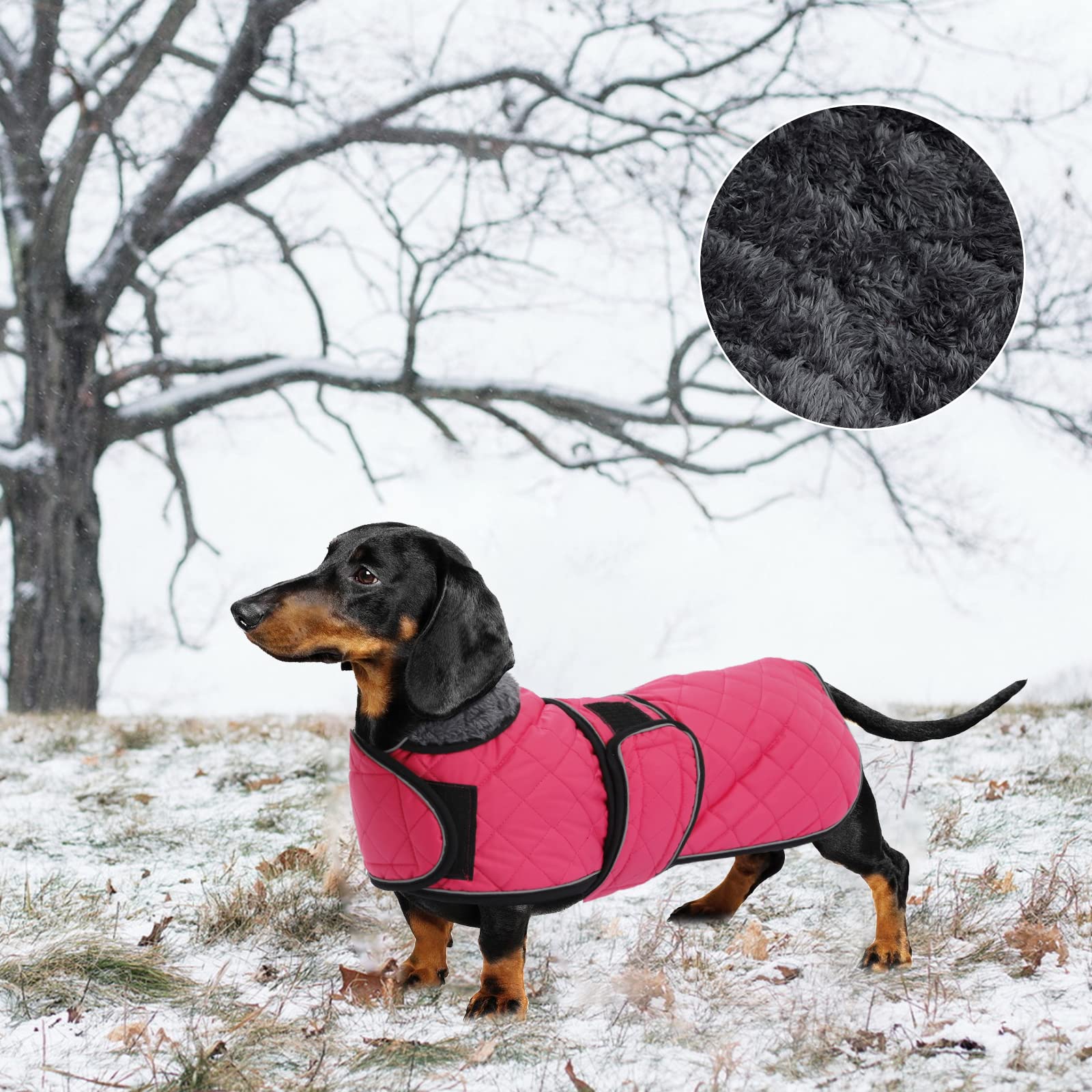 Diseño rosa elegante de la capa Geyecete para perro salchicha con estilo y confort.