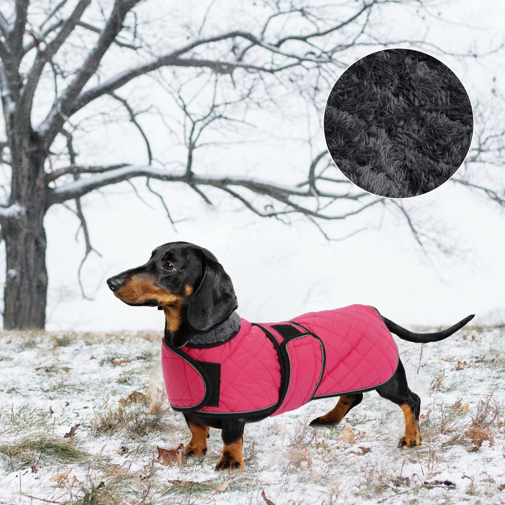Diseño rosa elegante de la capa Geyecete para perro salchicha con estilo y confort.