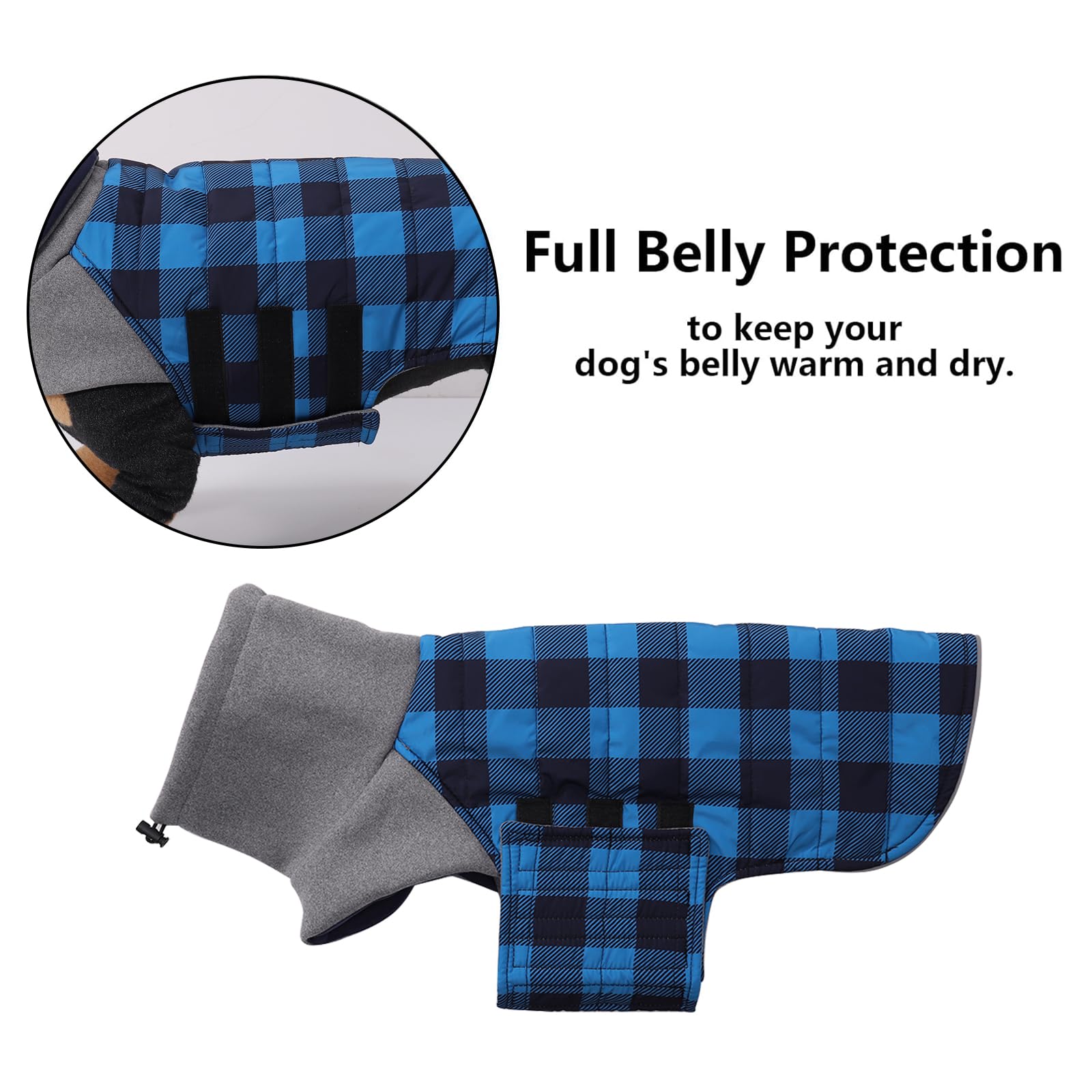 Chaleco Geyecete dachshund azul, cuello alto para protección contra el viento.