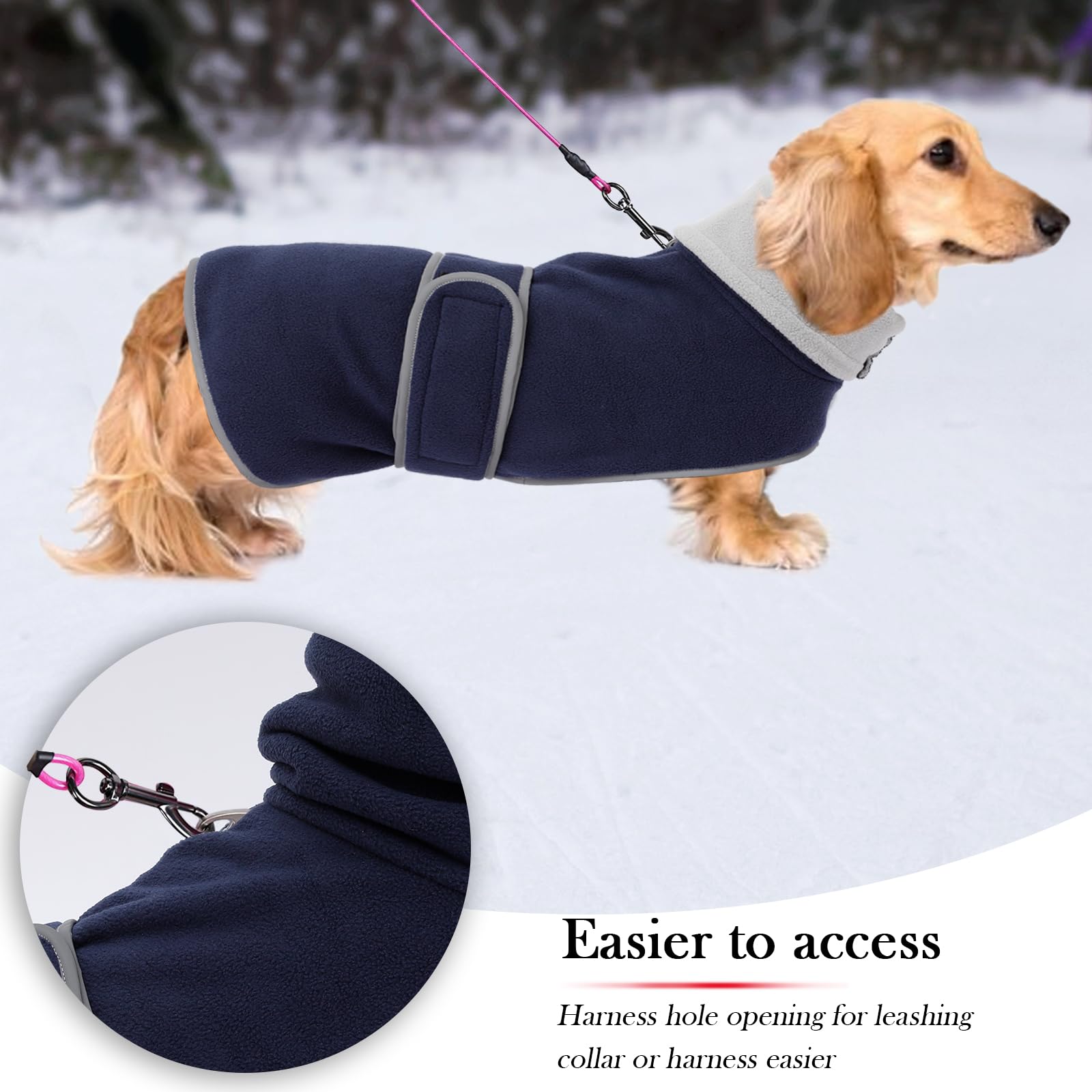 Chamarra Geyecete para dachshund, costuras reflectantes para mayor visibilidad.