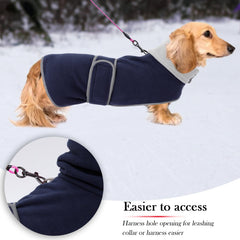 Chamarra Geyecete para dachshund, costuras reflectantes para mayor visibilidad.