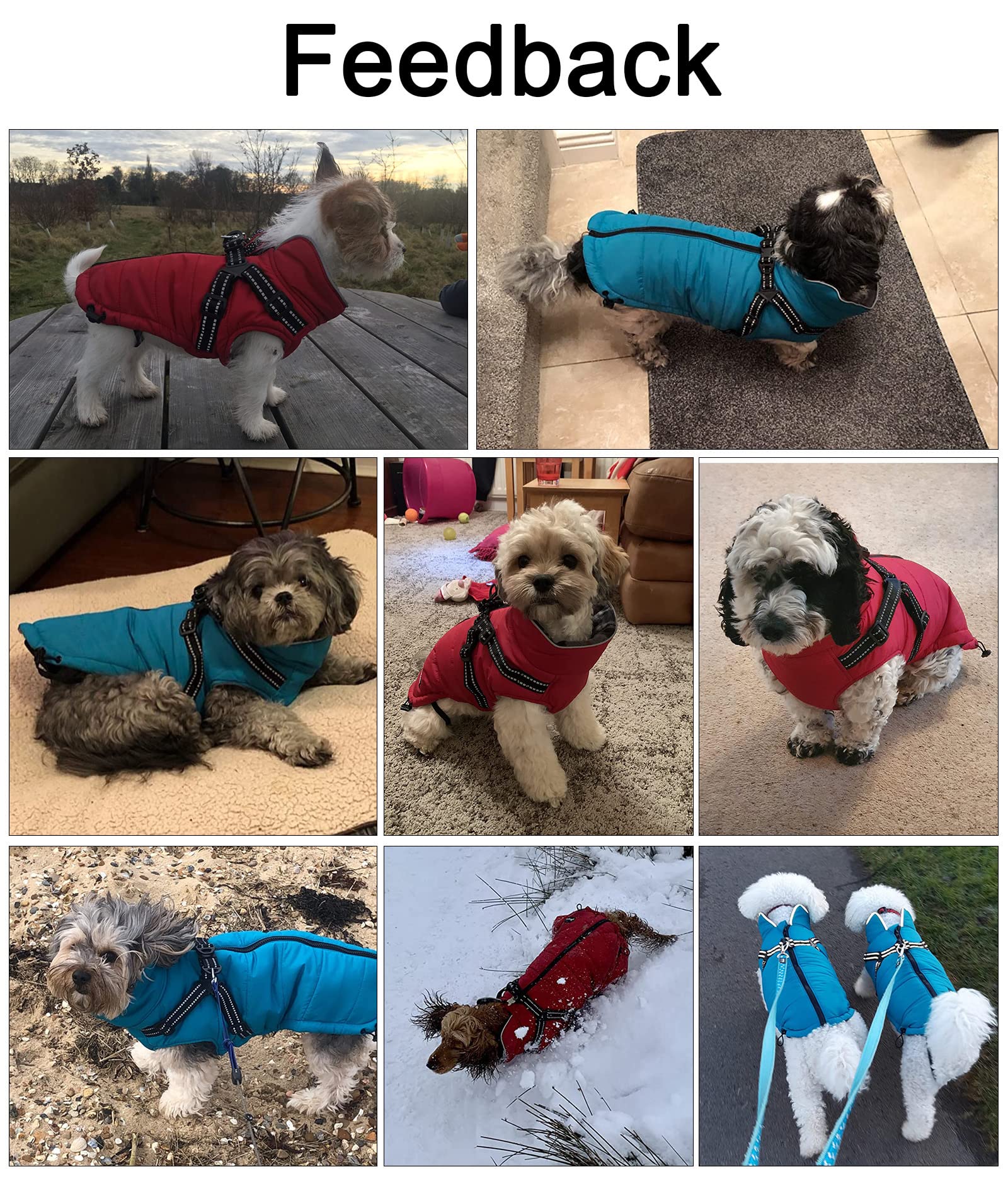 Geyecete chaqueta para perro lavable a máquina, cuidado sencillo para aventuras diarias.