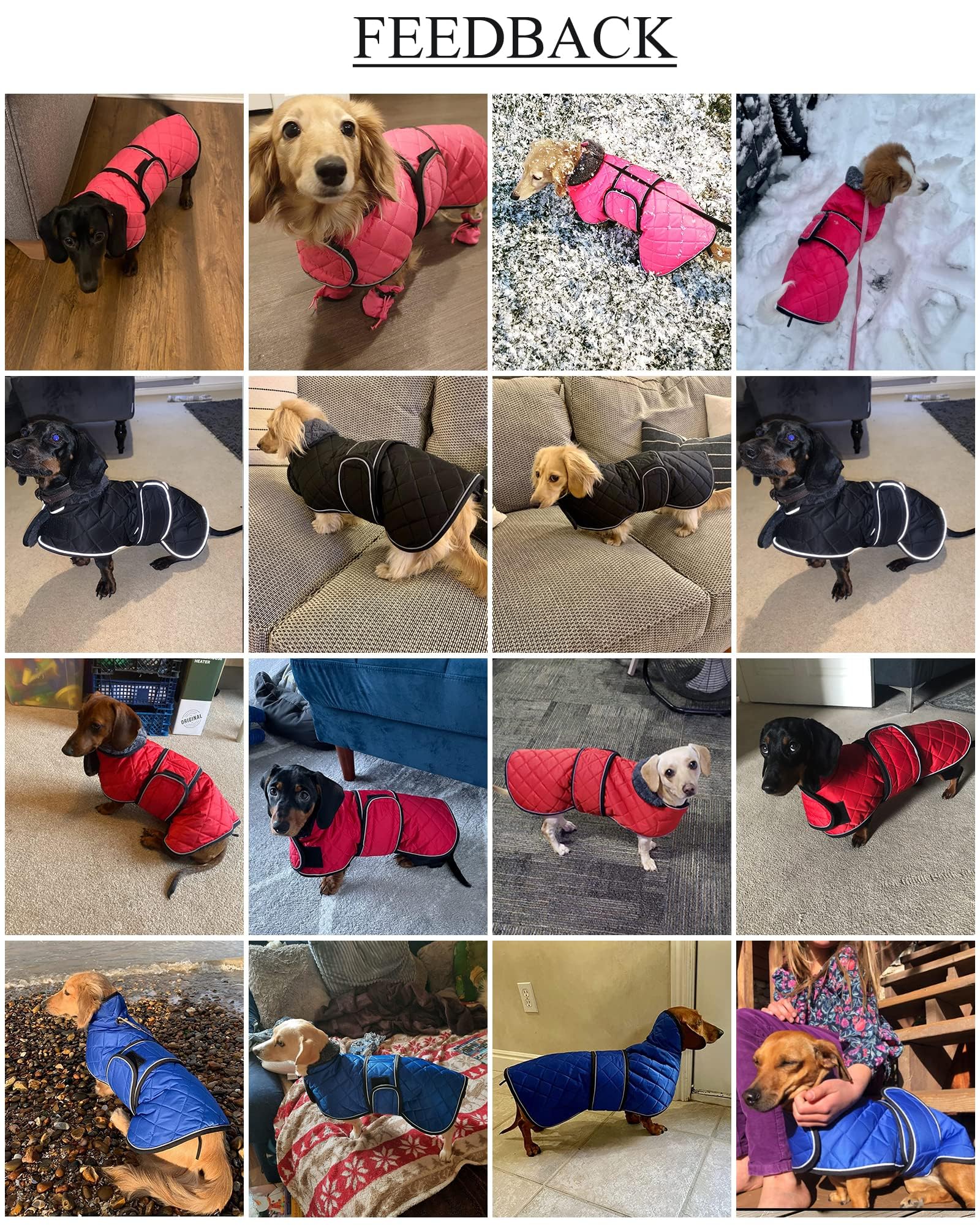 Geyecete chaqueta para perro salchicha, lavado fácil y práctico