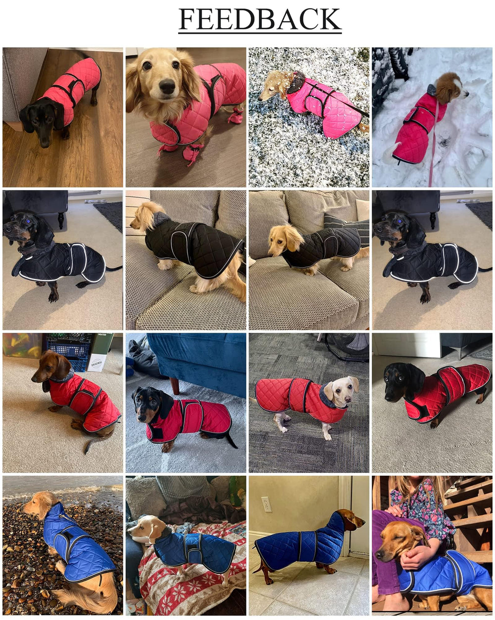 Geyecete chaqueta para perro salchicha, lavado fácil y práctico