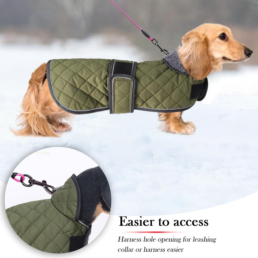 Geyecete costuras duraderas abrigo para dachshund resistente