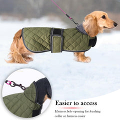 Geyecete costuras duraderas abrigo para dachshund resistente