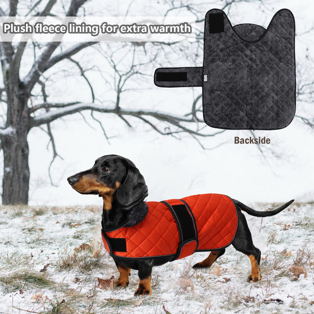 Geyecete: cuello alto plegable para calor extra en dachshund