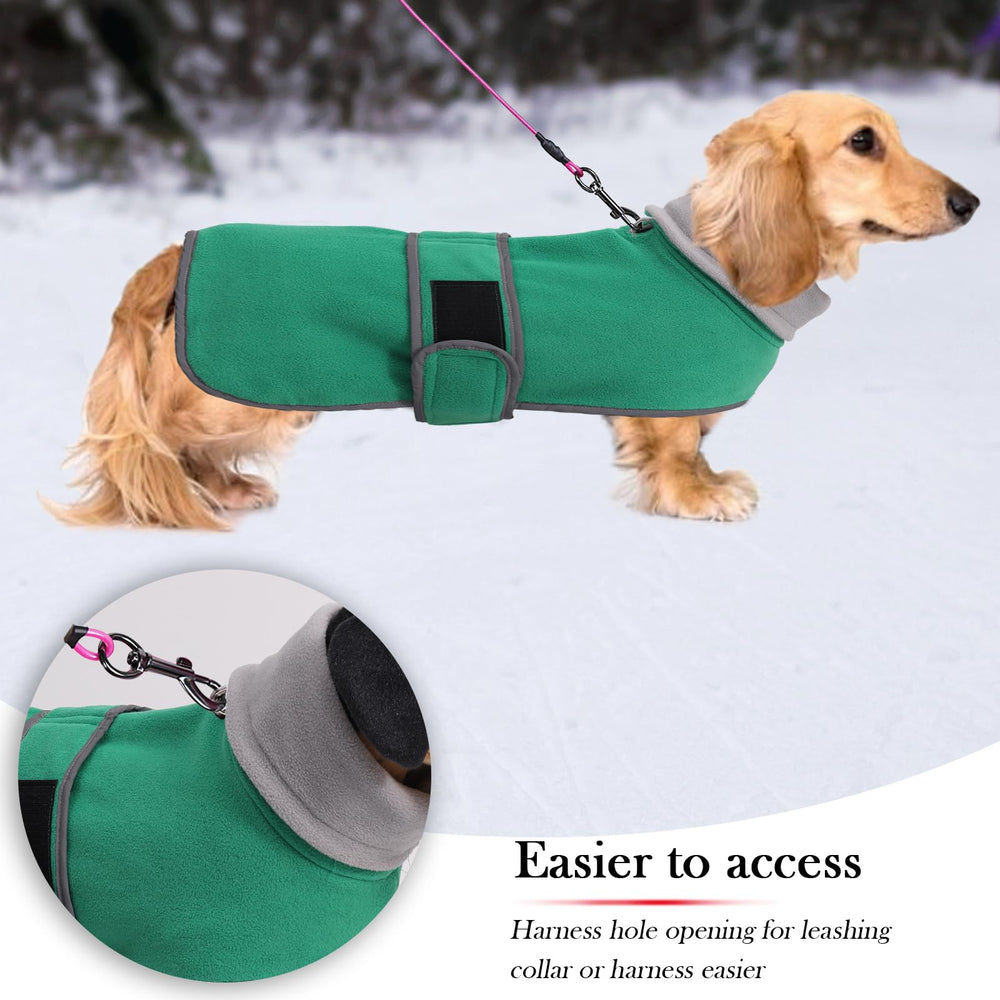 Geyecete Dachshund sudadera cuello alto plegable para protección contra el viento