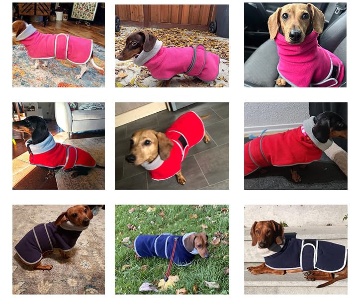 Geyecete Dachshund sudadera fácil de lavar a máquina sin perder forma