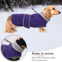 Forro polar cálido de Geyecete para dachshund, confort en invierno.