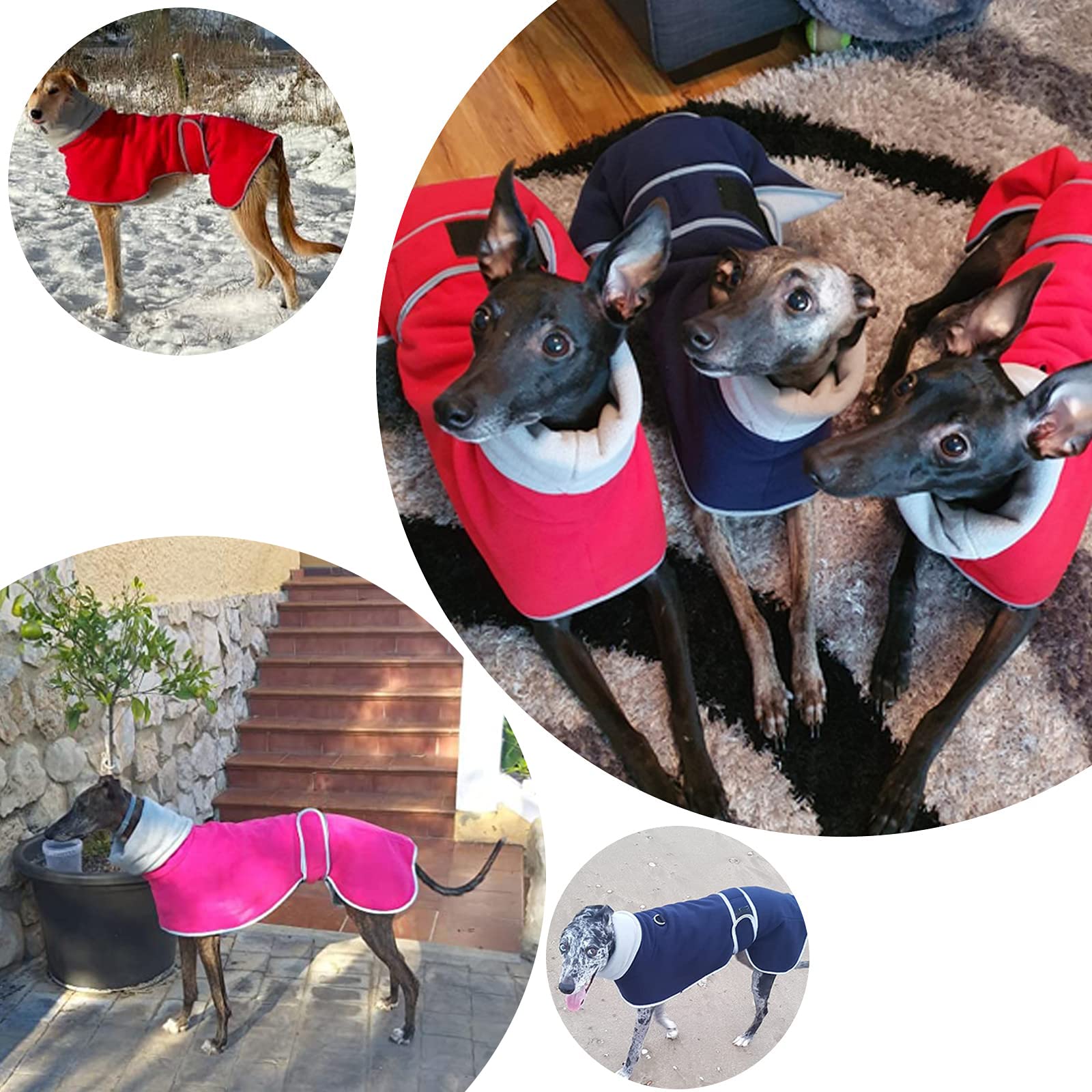 Geyecete Galgo: forro polar interior cálido para días fríos.