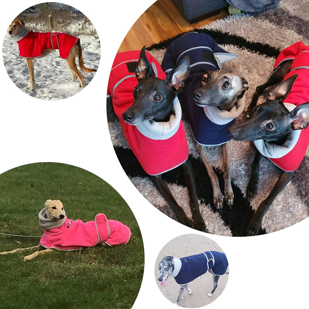 Geyecete galgo lavado a maquina, limpieza facil para dueños ocupados.