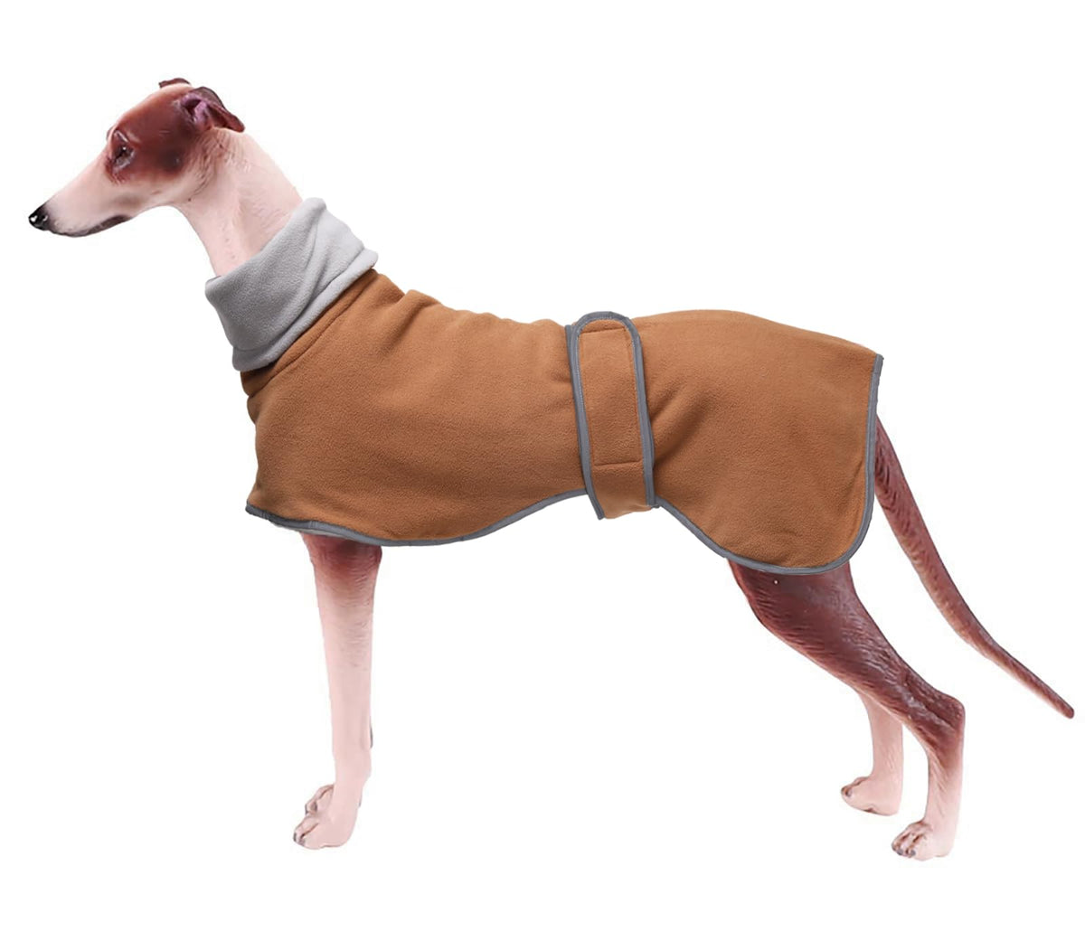 Geyecete suéter de forro polar para galgos, frente visible para paseos nocturnos.