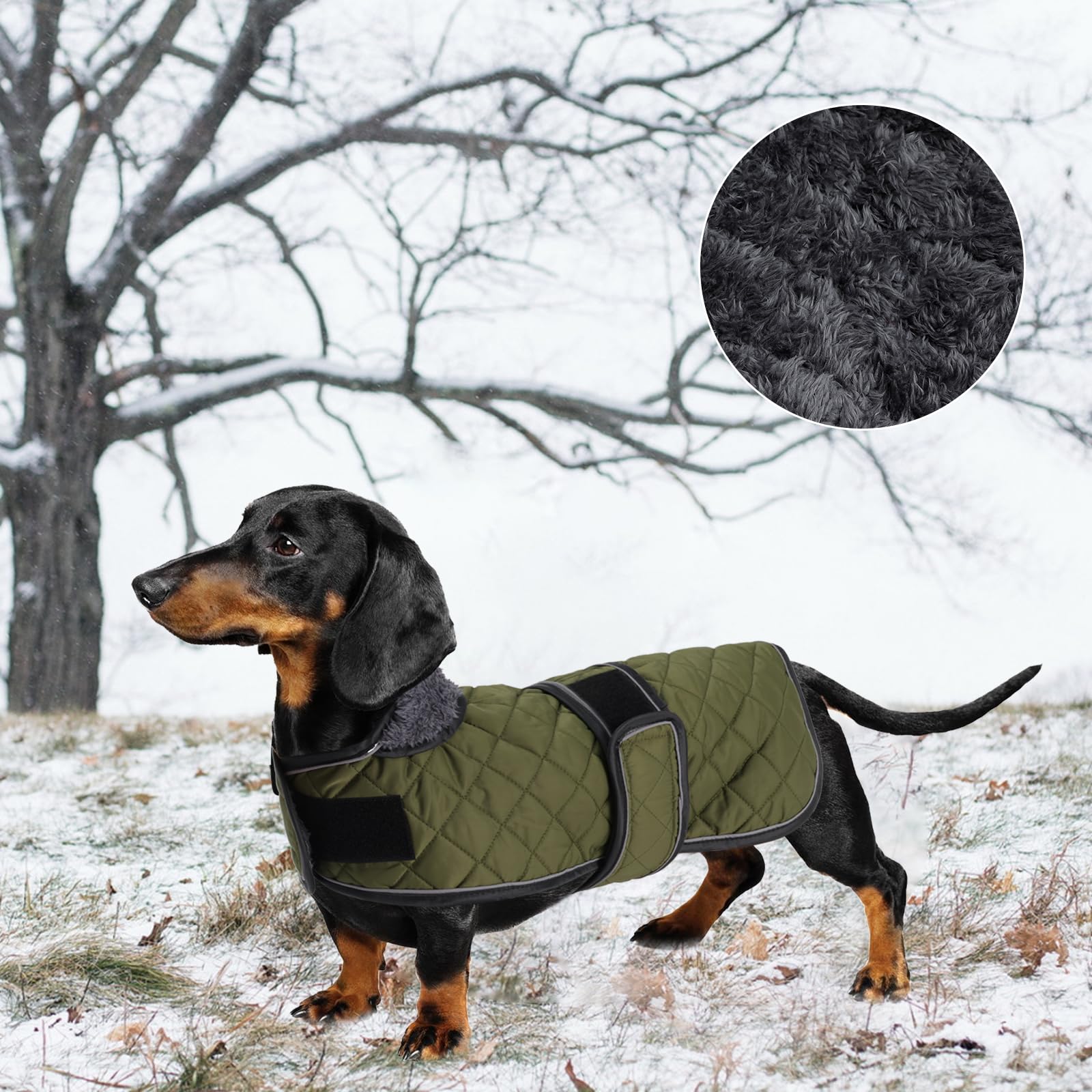 Geyecete ranura para correa abrigo dachshund seguro