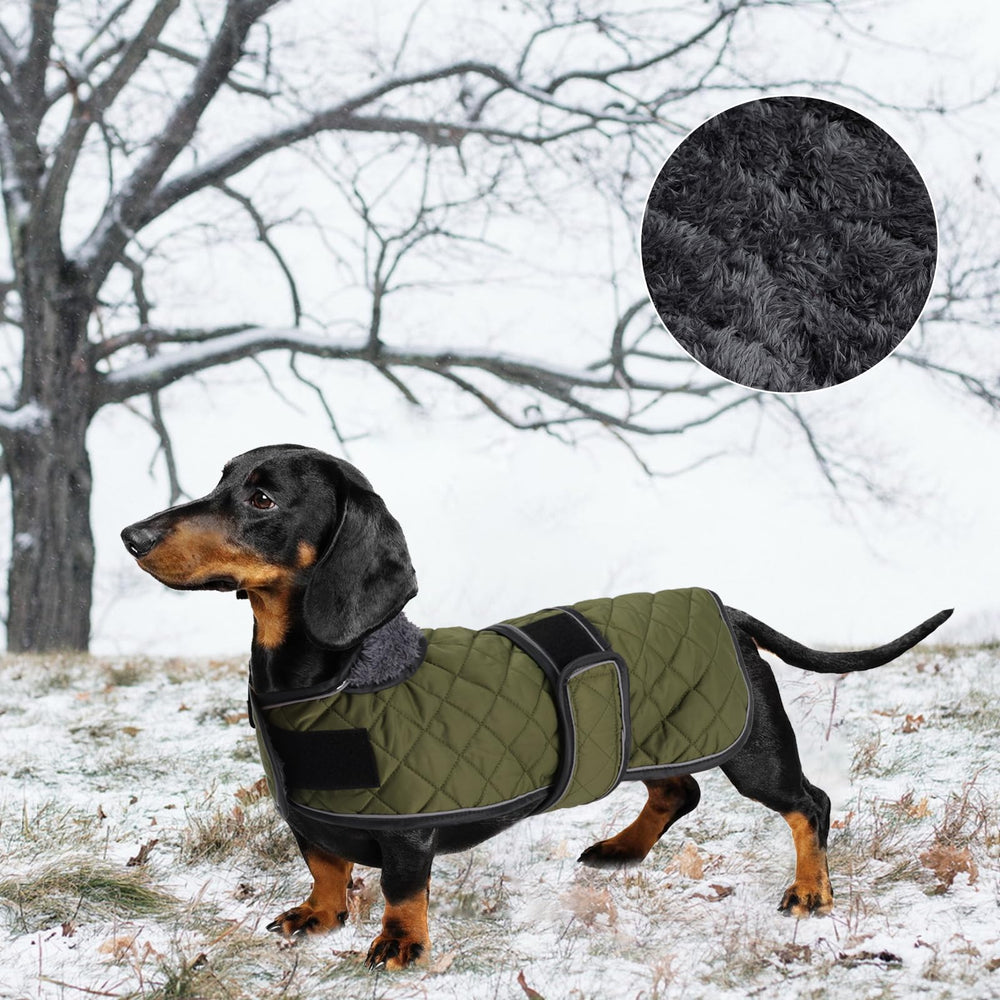 Geyecete ranura para correa abrigo dachshund seguro
