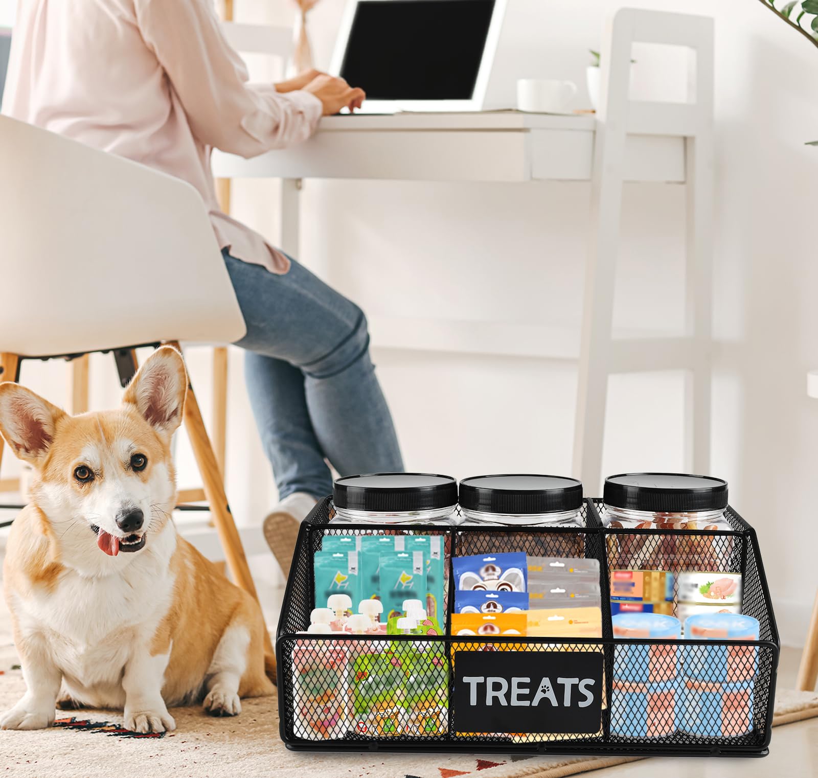 Geyecete regalo ideal para dueños de mascotas