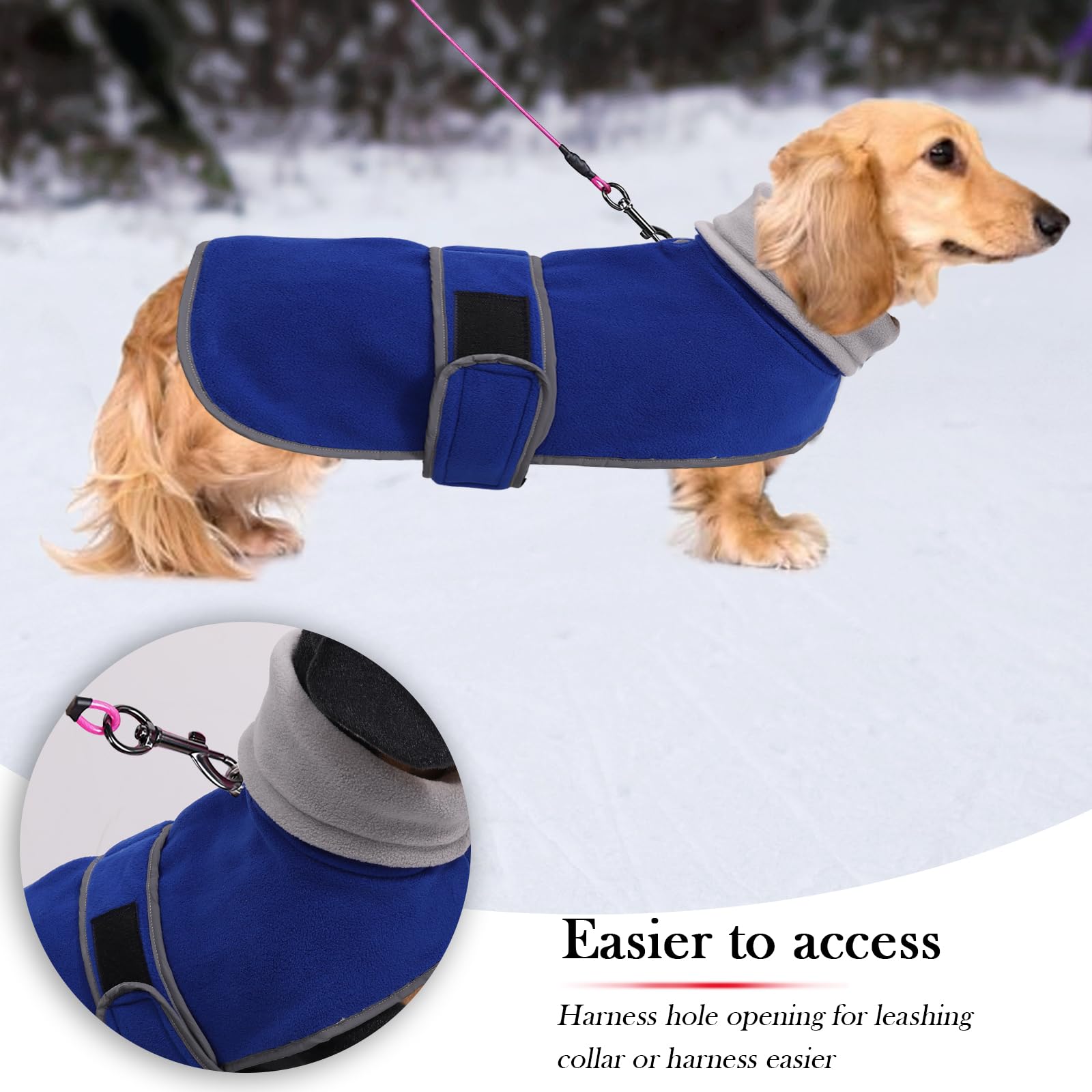 Geyecete suéter dachshund-forro felpa cálido para paseos fríos.