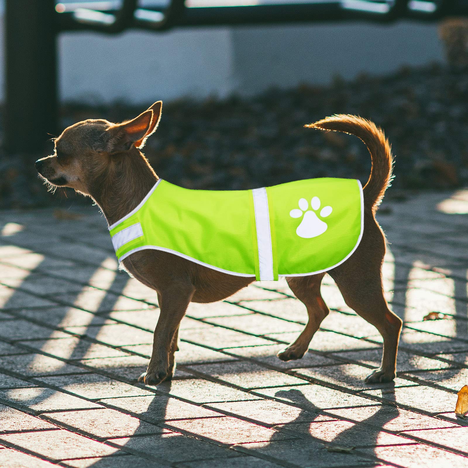 Chaleco para perro Geyoga, mantenimiento sencillo y duradero tras lavado.