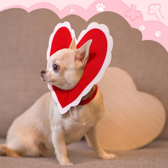 Geyoga detalle de encaje blanco y diseño valentino para mascotas