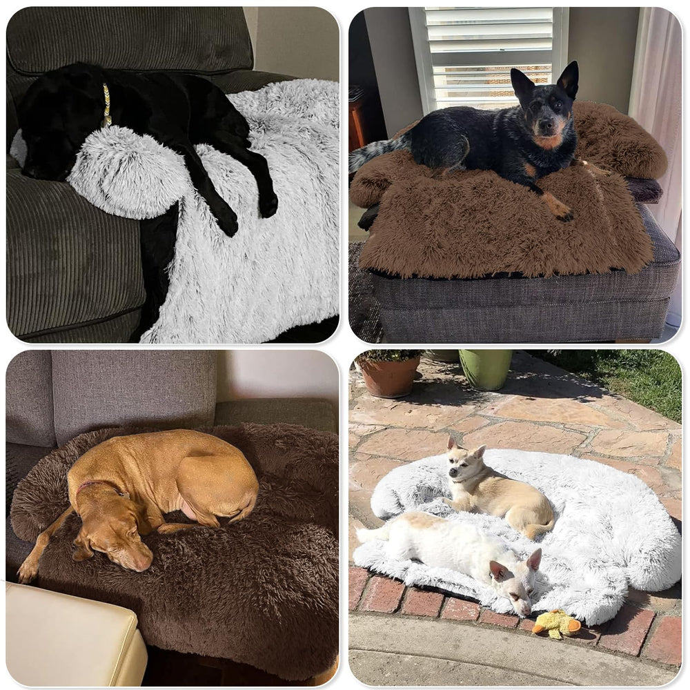 Cama portátil GGIB, ideal para viajar con mascota.