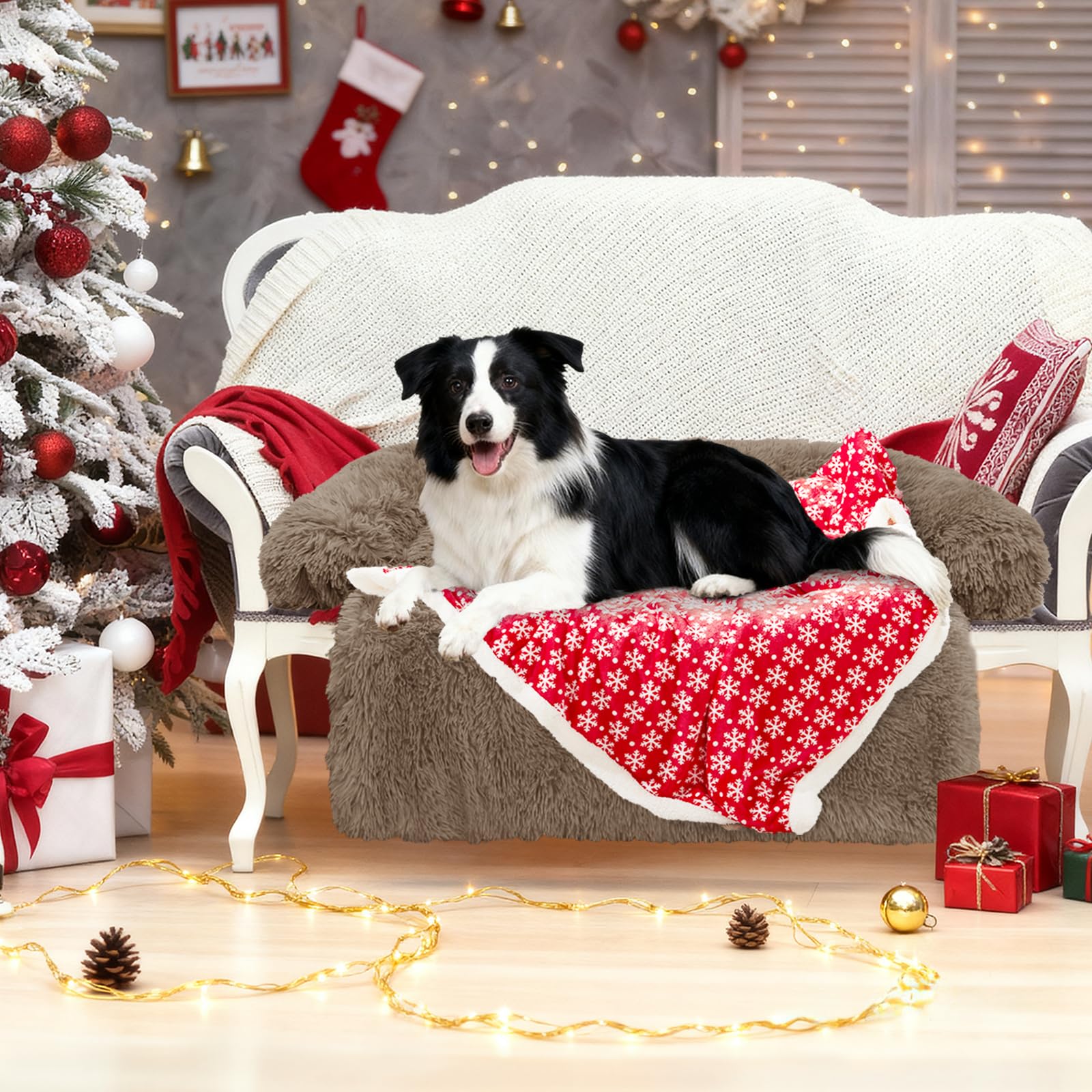 Regalo navideño GGIB, ideal para dueños y sus mascotas.