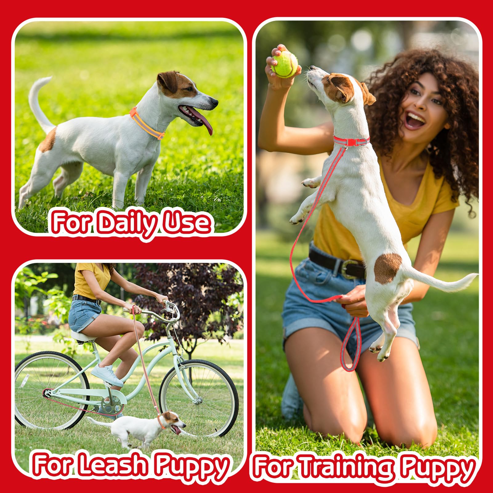 GGSTDDUP adecuado para perros pequeños y medianos.