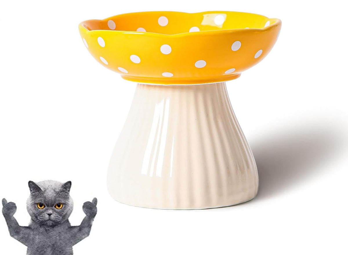 Tazón giciubui con seta elevado en cerámica, mantiene estable la comida del gato.