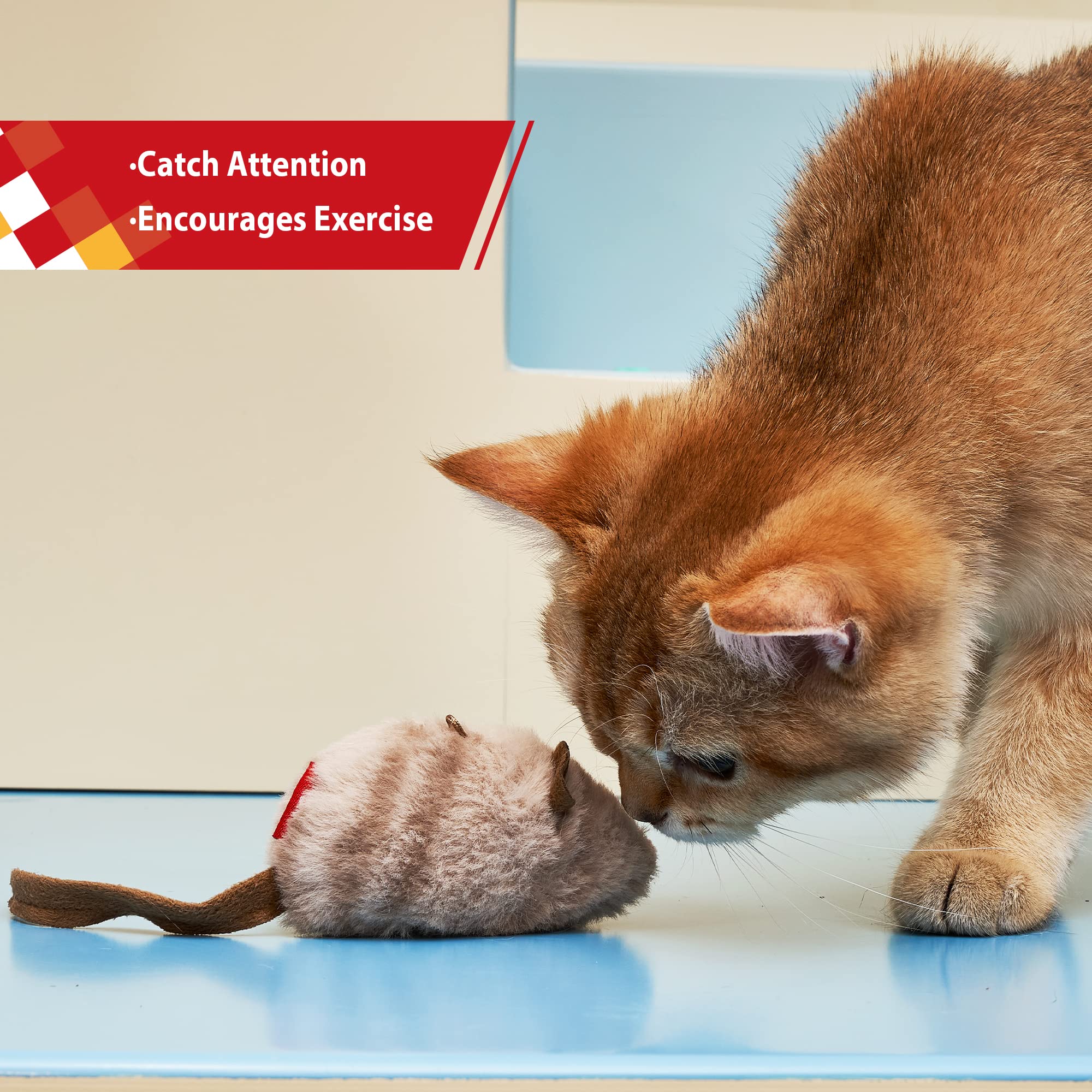 Gigwi Chirpy juguete para gatitos, fomenta movimiento y destreza.