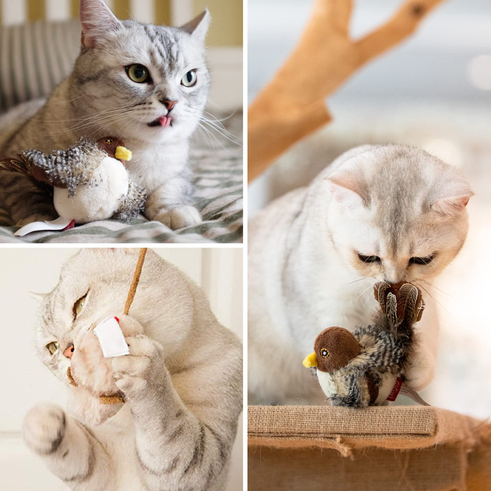 Gigwi conjunto juguetes gato, set popular para entretenimiento diario.
